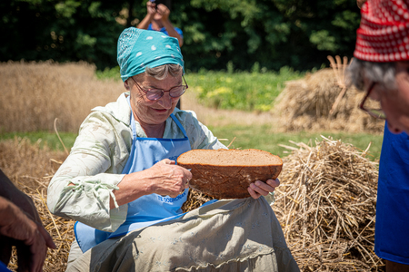 Dobrovnik - 2000 semen - ZETEV 2025-1174854